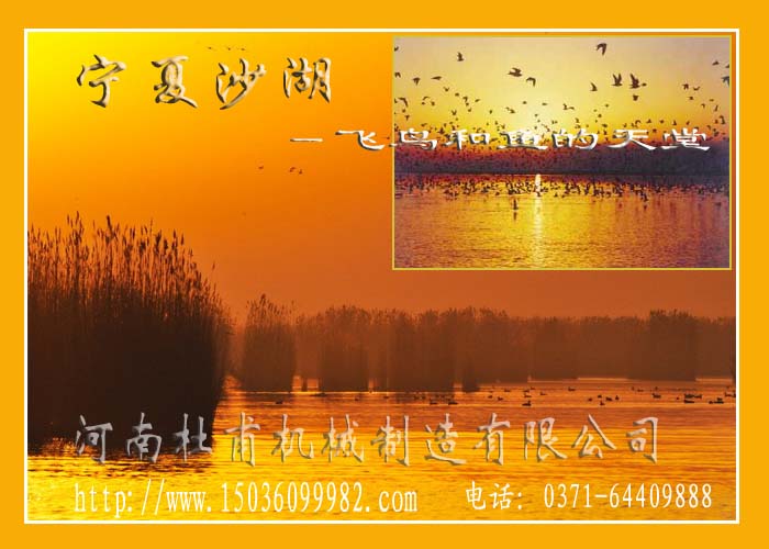 寧夏沙湖-飛鳥(niǎo)和魚(yú)的天堂 寧夏沙湖-飛鳥(niǎo)和魚(yú)的天堂